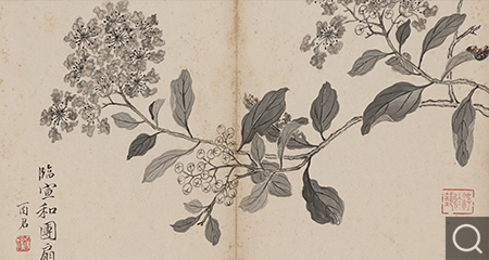花卉冊