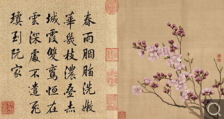 清 花卉冊